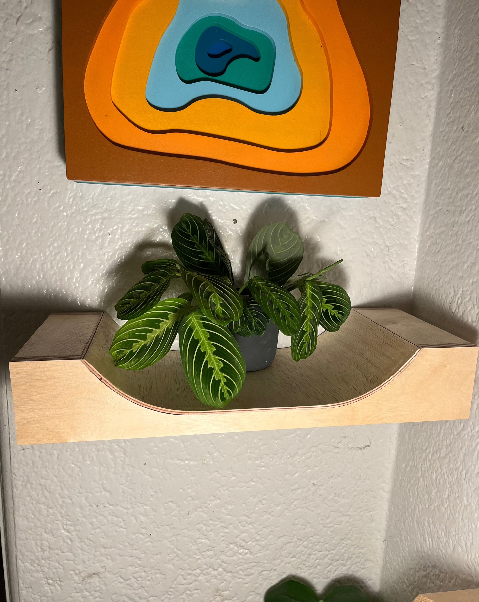 micro mini ramp with plant on top and geothermal art piece in background